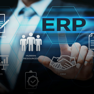 Enterprise Resource Planning System