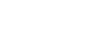 NetSet Logo