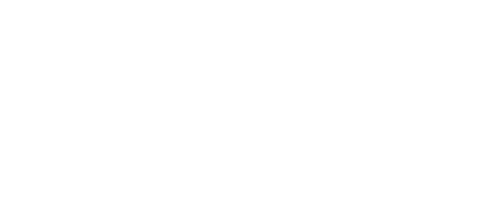 NetSet Software