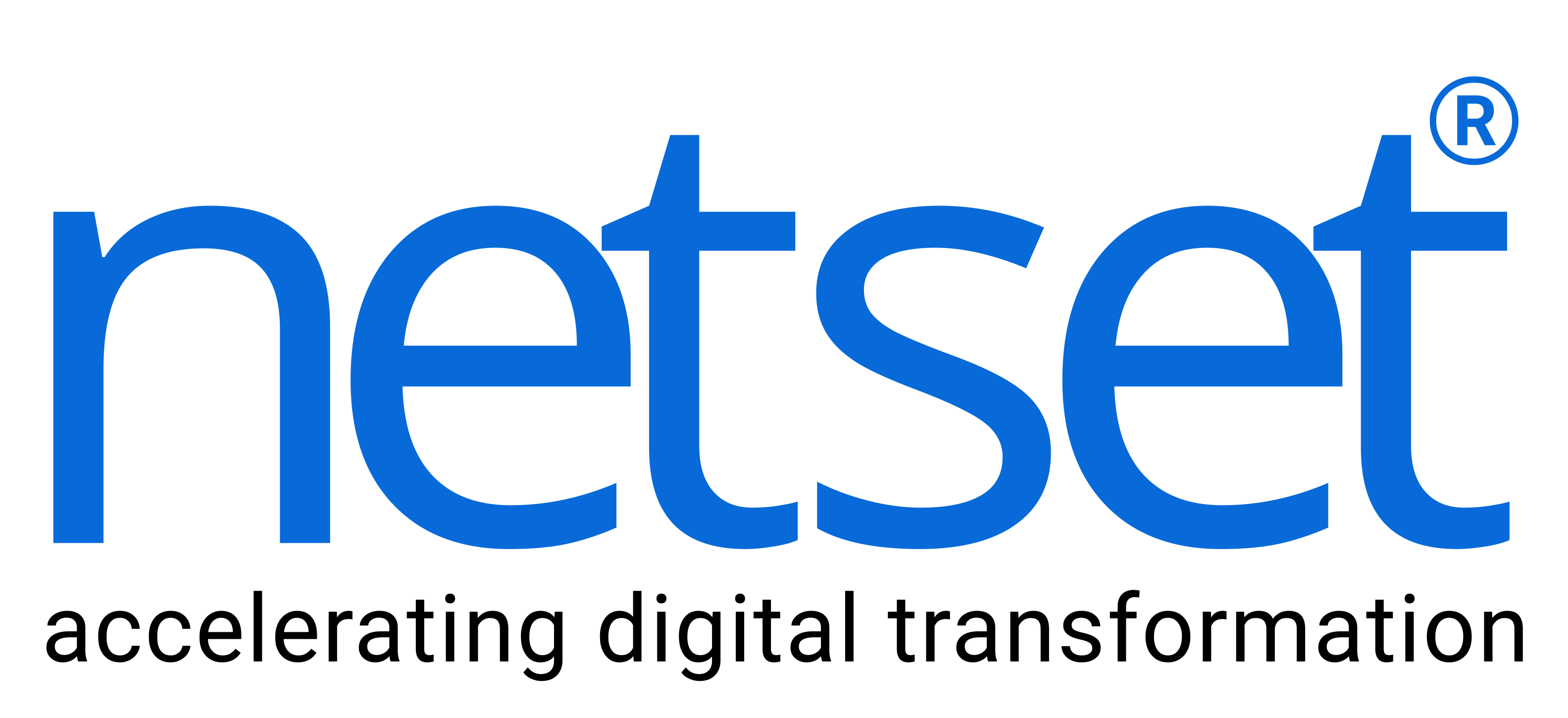 NetSet Logo