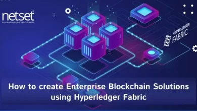 Hyperledger development services
