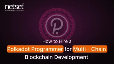 hire Polkadot programmers