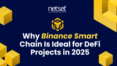 Binance Smart Chain app