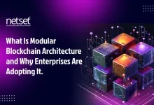 Modular blockchain development solutions