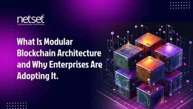 Modular blockchain development solutions