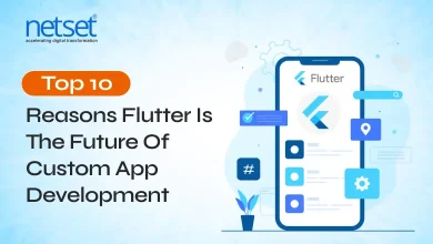 NetSet Software: 4-top-10 Reasons Flutter Is The Future Of Custom App Development