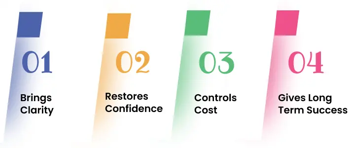NetSet Software: How does software project rescue solve problems and promise success?
