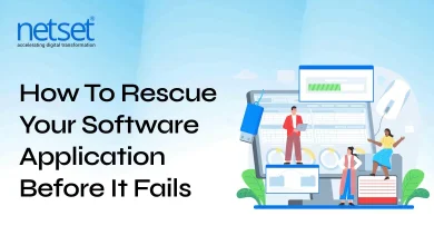NetSet Software: How to Rescue Your Software Application Before It Fails