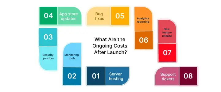 NetSet Software: What Are the Ongoing Costs After Launch_