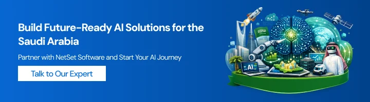 NetSet Software: CTA