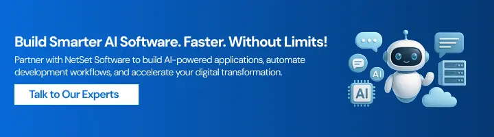 NetSet Software: CTA