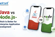 NetSet Software: Java vs Node.js- Which Is Better for Enterprise Application Development
