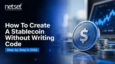 NetSet Software: How To Create A Stablecoin Without Writing Code Step-by-Step in 2026