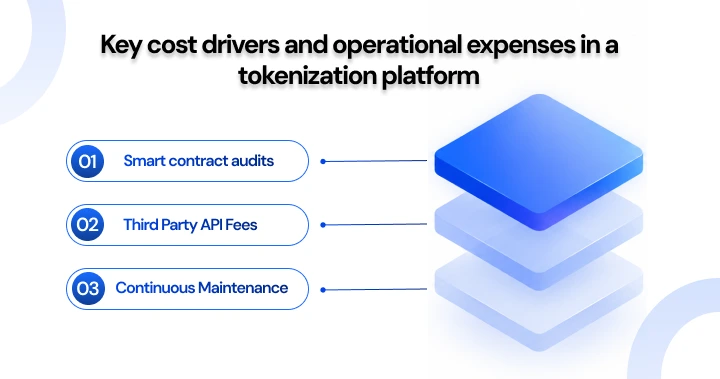 NetSet Software: Key cost drivers and operational expenses in a tokenization platform